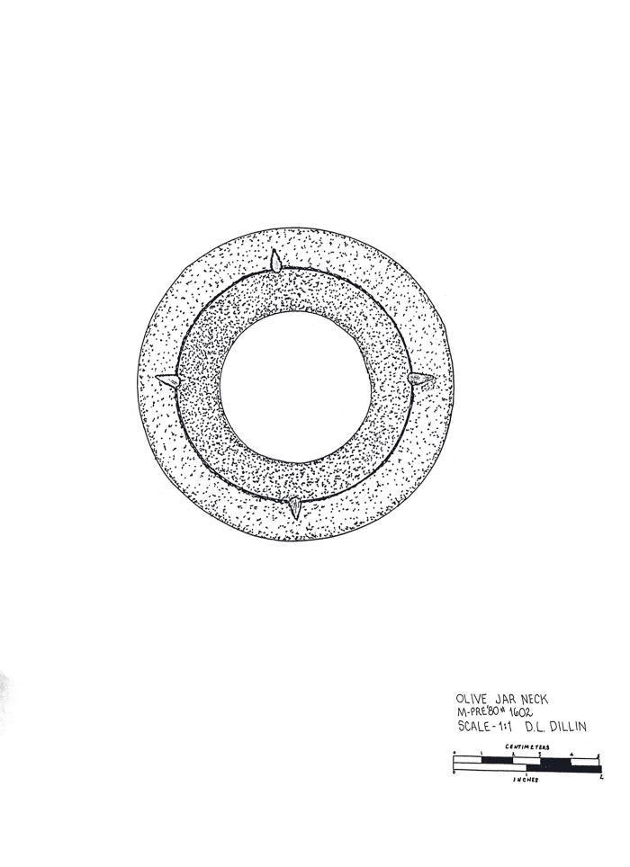 Artifact Drawing - Olive Jar Neck 