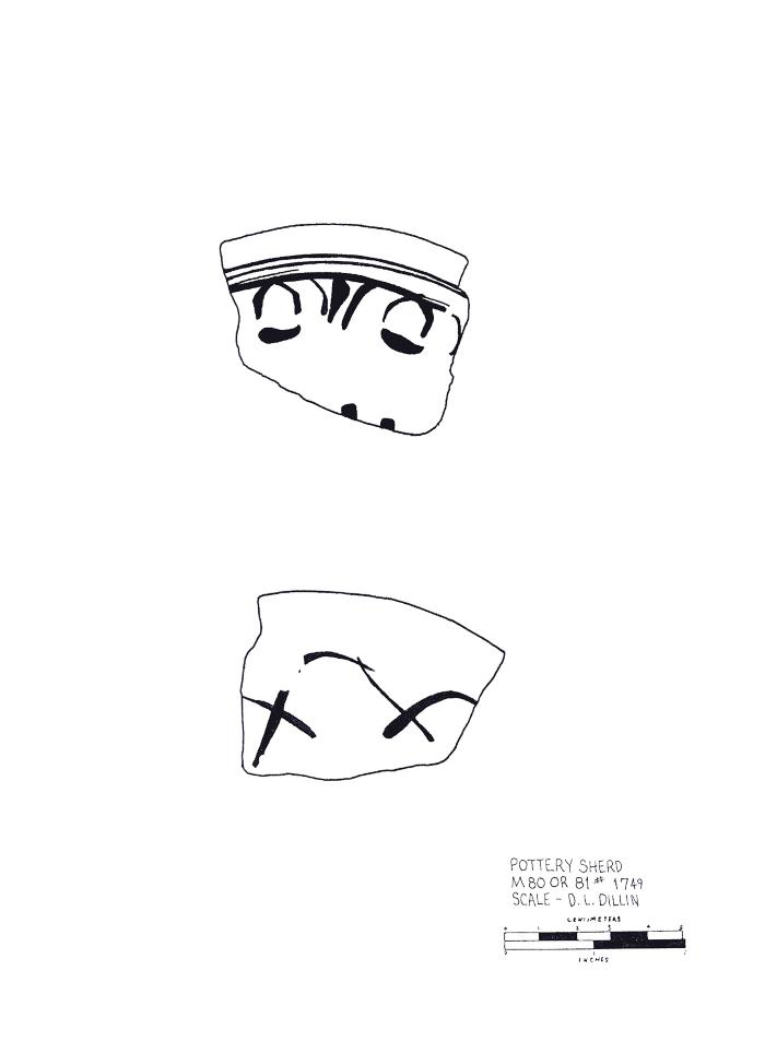 Artifact Drawing - Sherd    