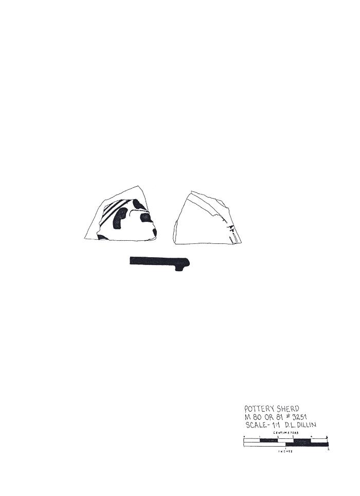 Artifact Drawing - Sherd   