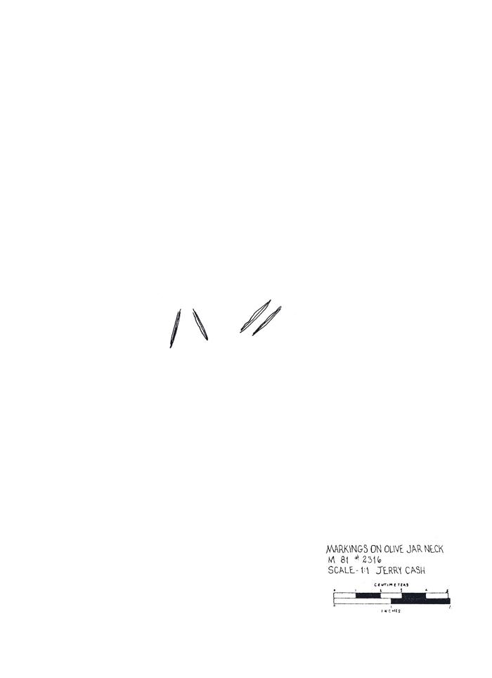 Artifact Drawing - Olive Jar Marks  
