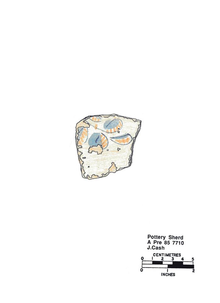 Artifact Drawing - Sherd  