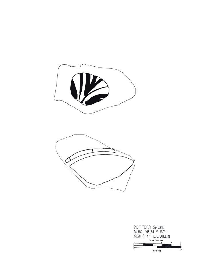 Artifact Drawing - Sherd    