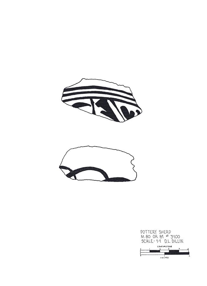 Artifact Drawing - Sherd