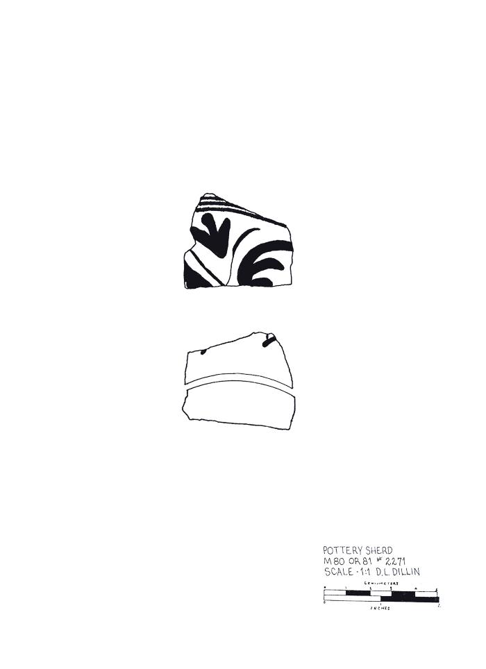 Artifact Drawing - Sherd   