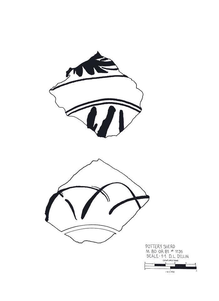 Artifact Drawing - Sherd  