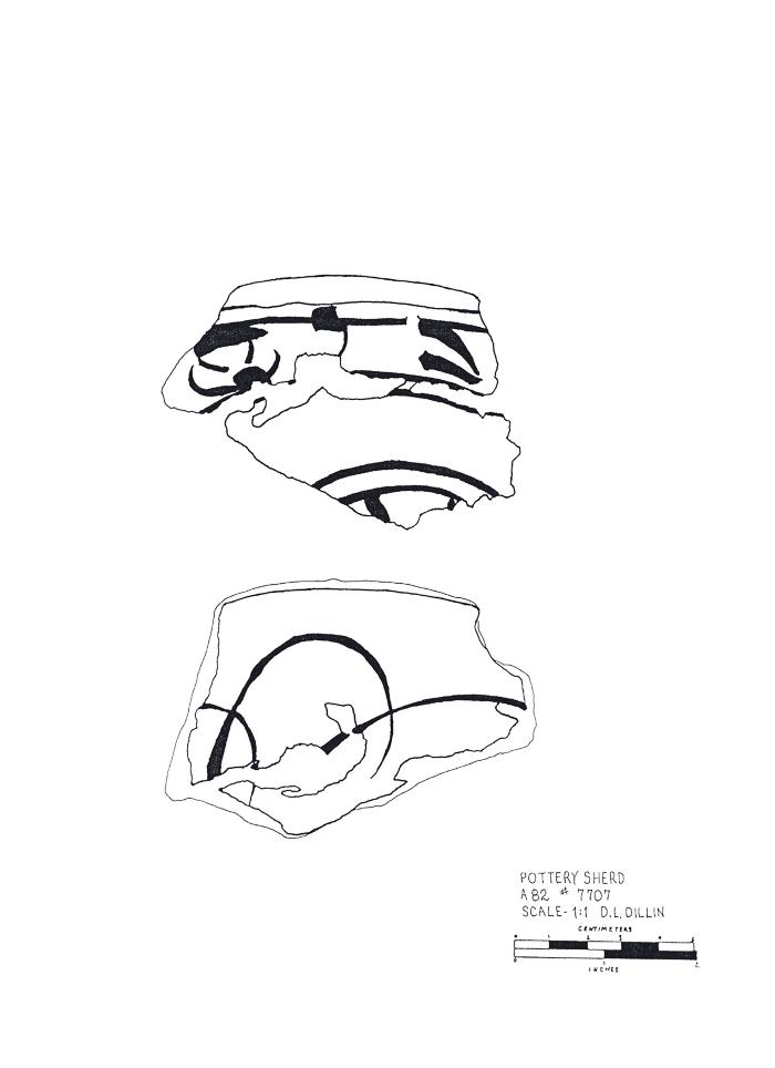 Artifact Drawing - Sherd 