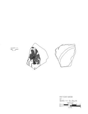 Artifact Drawing -  Sherd