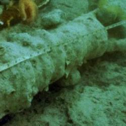 Underwater View of Swivel Gun (Detail)