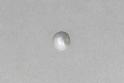 2010.004.0012