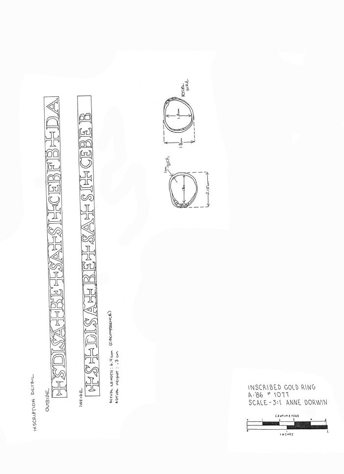 Artifact Drawing - Gold Ring