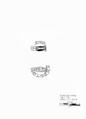 Artifact Drawing - Medallion