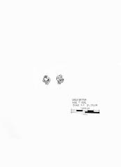 Artifact Drawing - Garment Ornament     