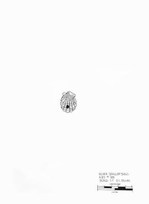 Artifact Drawing - Scallop Shell