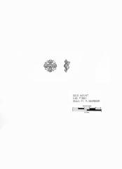 Artifact Drawing - Garment Ornament     