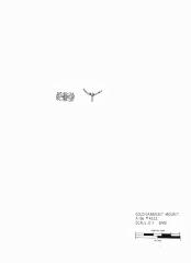 Artifact Drawing - Garment Ornament    