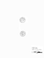 Artifact Drawing - Coin