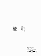 Artifact Drawing - Garment Ornament 