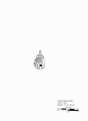 Artifact Drawing - Scallop Shell