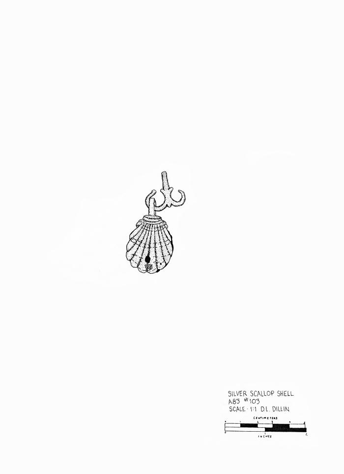Artifact Drawing - Scallop Shell