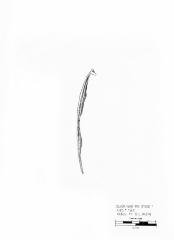 Artifact Drawing - Hair Pin Stick