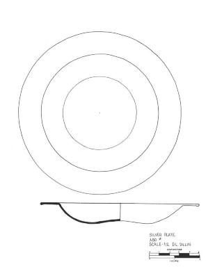 Artifact Drawing - Plate