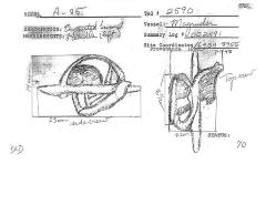 Photocopy - Artifact Drawing - Sword Hilt