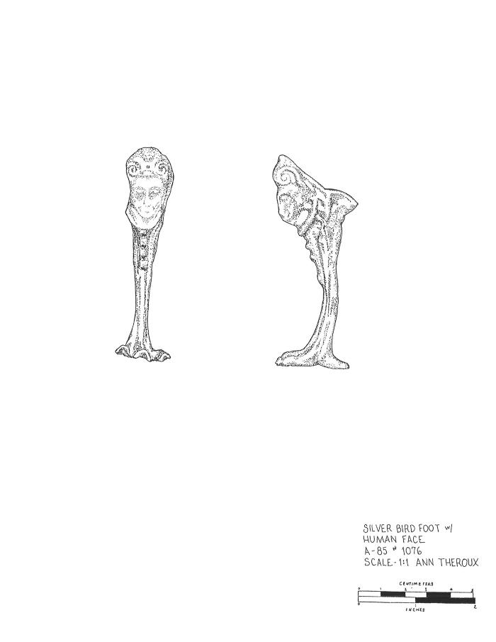 Artifact Drawing - Bird Foot