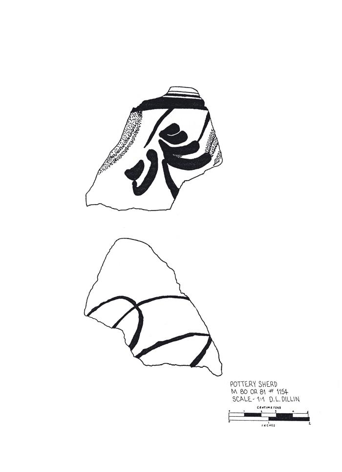 Artifact Drawing - Sherd  