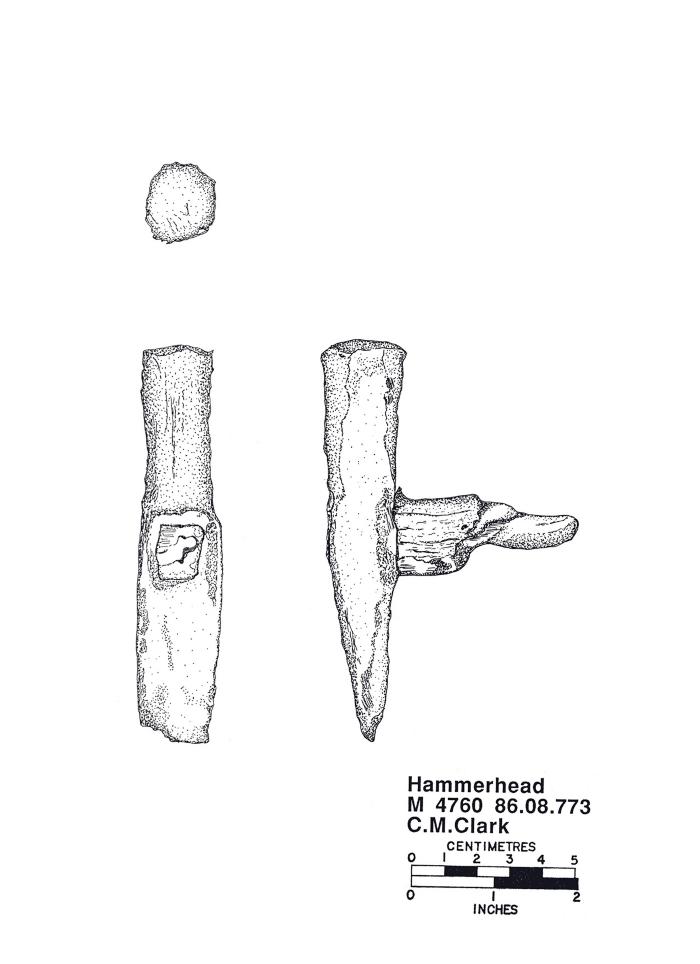 Artifact Drawing - Hammer Head 