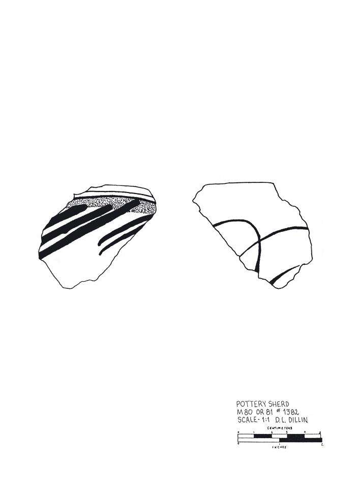 Artifact Drawing - Sherd  