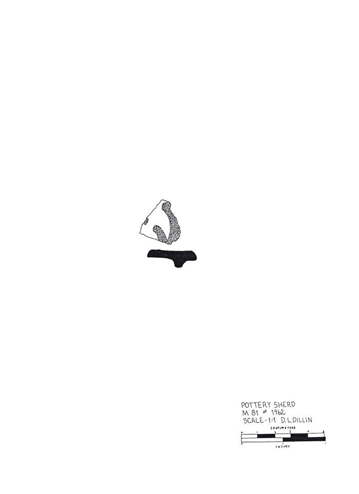 Artifact Drawing - Sherd   