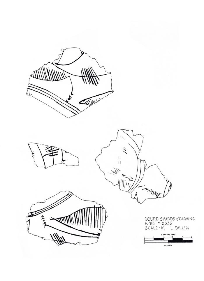 Artifact Drawing - Gourd Fragments