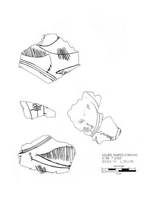 Artifact Drawing - Gourd Fragments