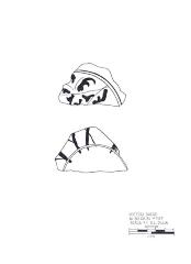 Artifact Drawing - Sherd   