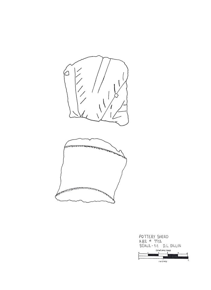 Artifact Drawing - Sherd  