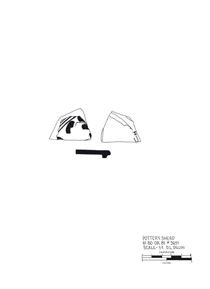 Artifact Drawing - Sherd   