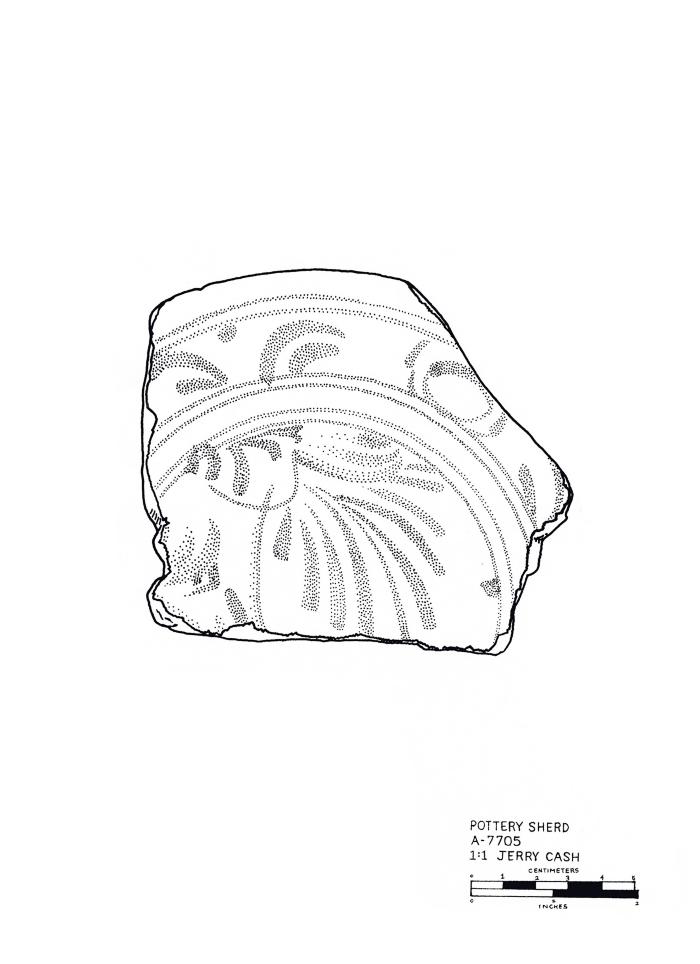 Artifact Drawing - Sherd 