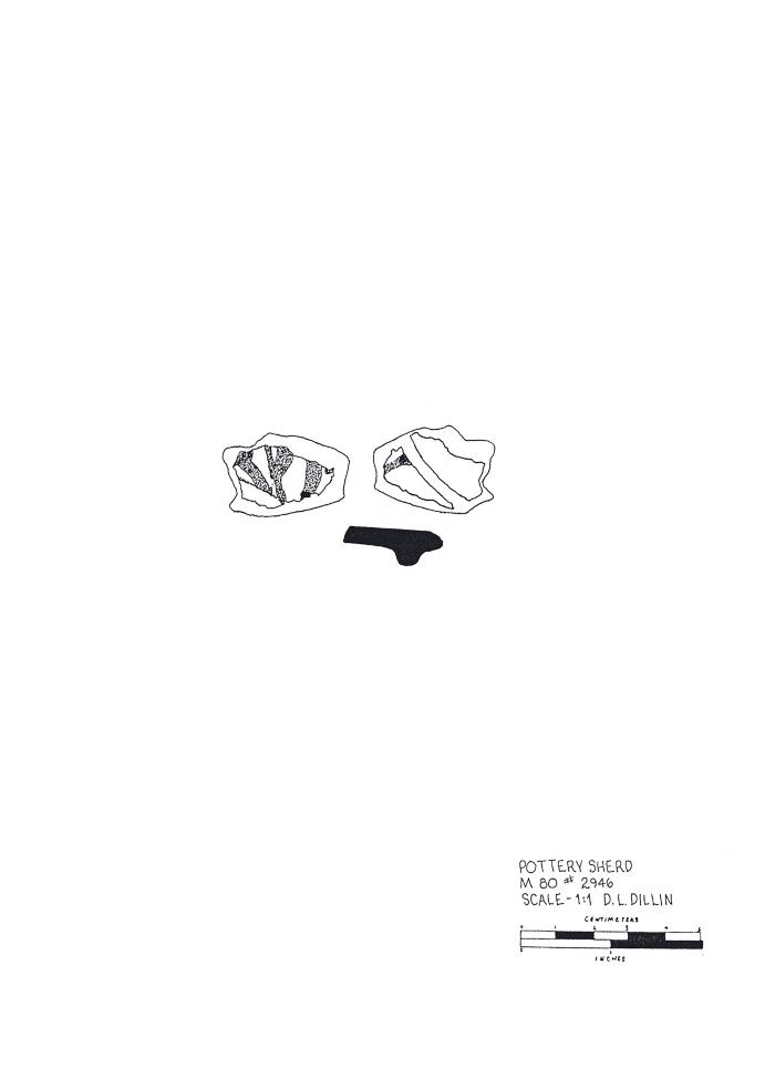 Artifact Drawing - Sherd  