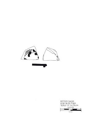 Artifact Drawing - Sherd   