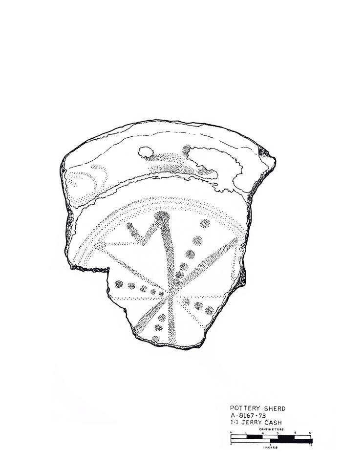 Artifact Drawing - Sherd