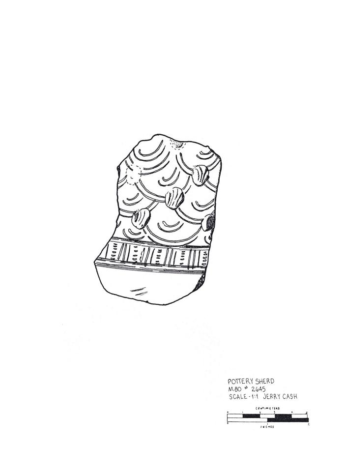 Artifact Drawing - Sherd