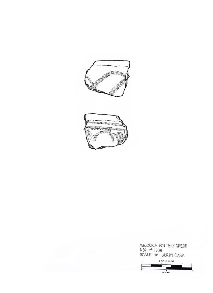 Artifact Drawing - Majolica Sherd