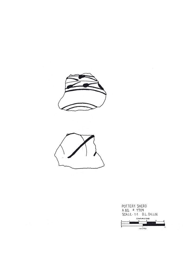 Artifact Drawing - Sherd  